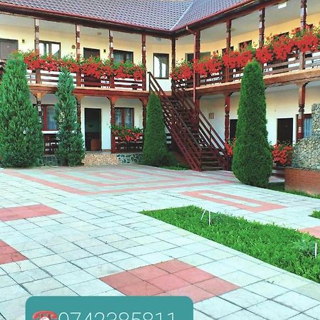 Cris & Mona Hotel Sapinta Exterior photo