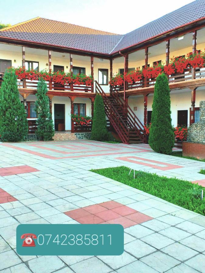 Cris & Mona Hotel Sapinta Exterior photo