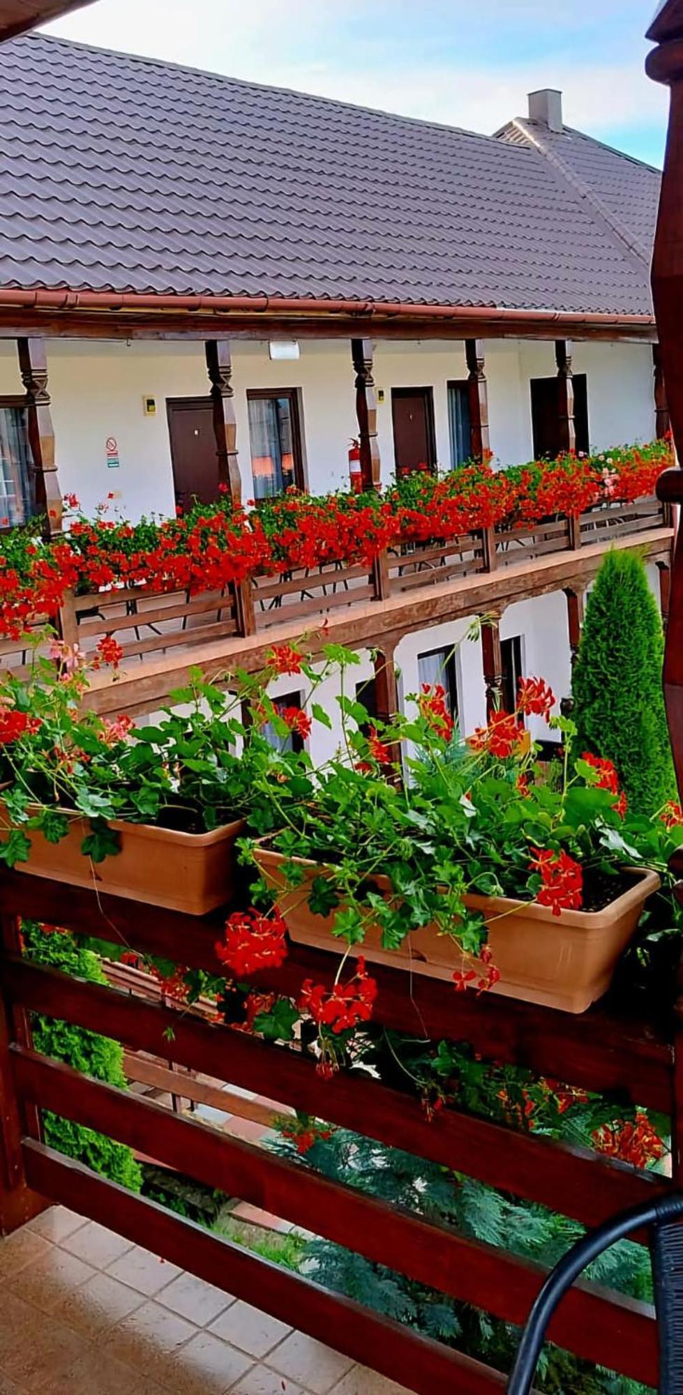 Cris & Mona Hotel Sapinta Exterior photo