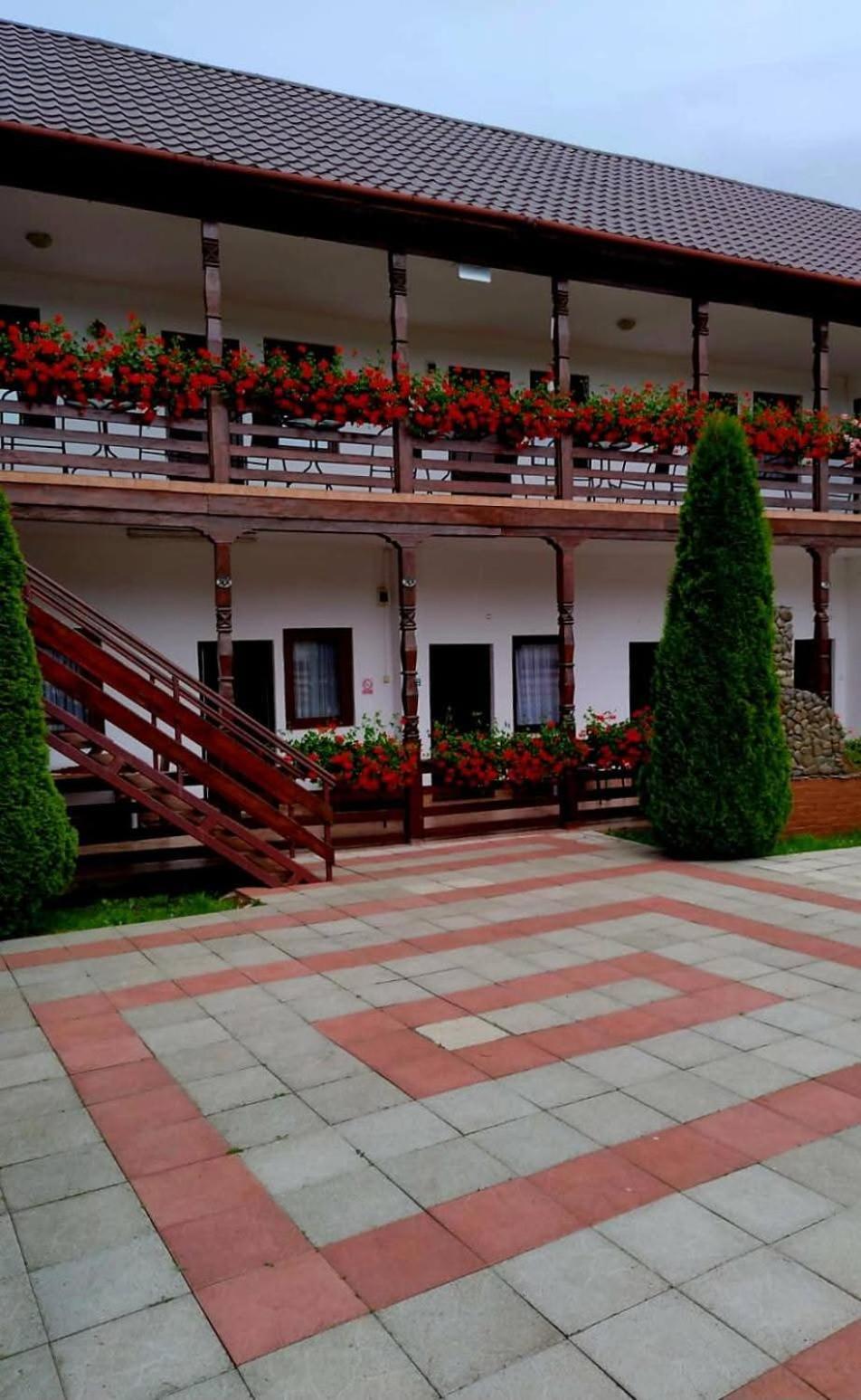 Cris & Mona Hotel Sapinta Exterior photo